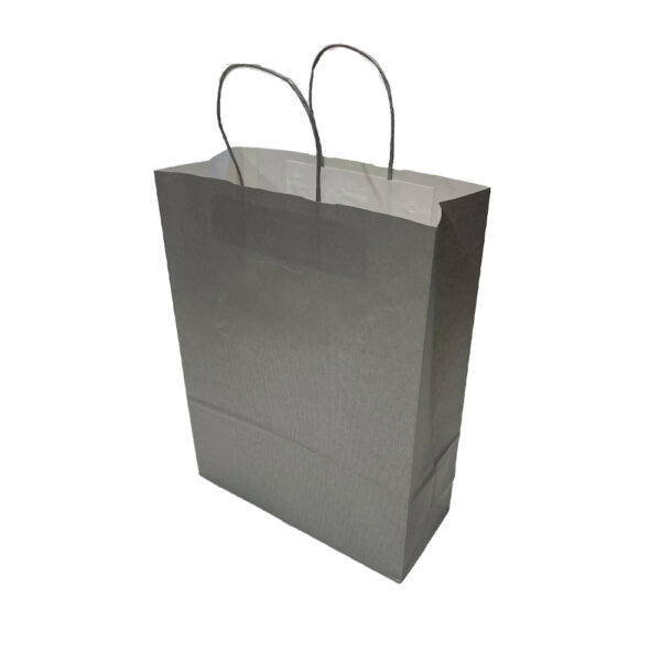 Silver twisted paper handle carrier bag