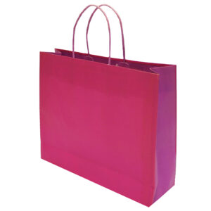 Fuchsia and Violet Bi-Colour Bag 1
