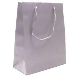 Silver Luxury Matt Sale Bag 1