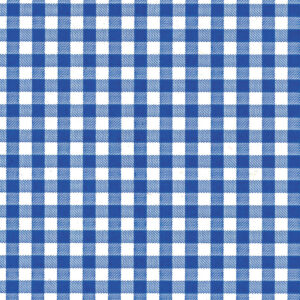 Blue Gingham Wrapture Printed Tissue 1