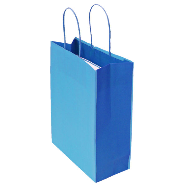 Blue and Dark Blue Bi-Colour Bag 1