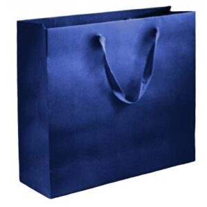 Dark Blue Luxury Vogue Sale Bag 22's 1