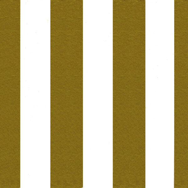 Gold Broad Wrapture Printed Tissue 1