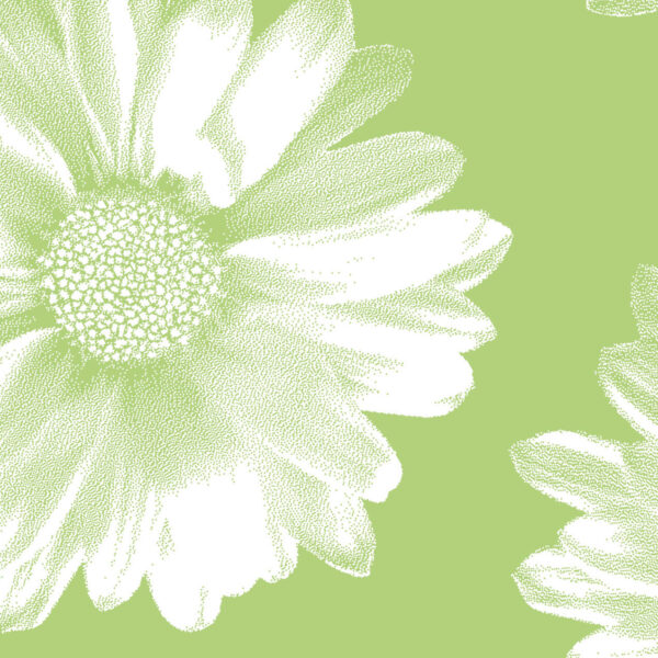 Green Daisy Wrapture Printed Tissue 1