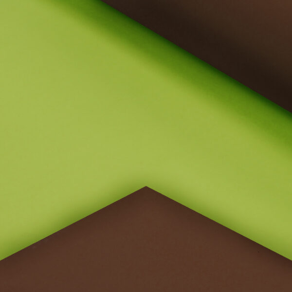Lime Green and Chocolate Double Sided Gift Wrap 1