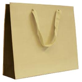 Beige and Brown Luxury Bi-Colour Bag 1
