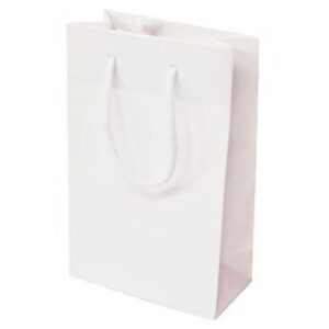 White Luxury Gloss Bag 1