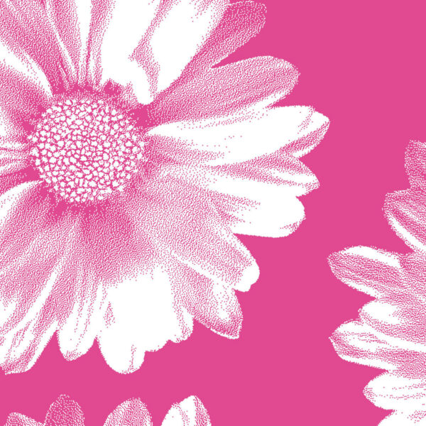 Pink Daisy Wrapture Printed Tissue 1