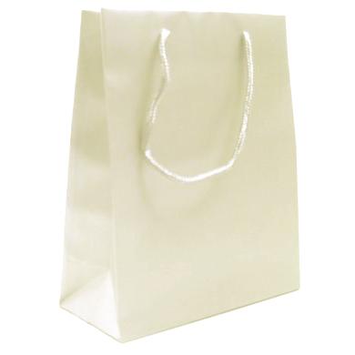 SALE-Cream-Luxury-Matt-Bag6