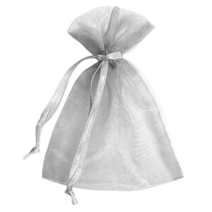 Silver Sheer Pouches 1
