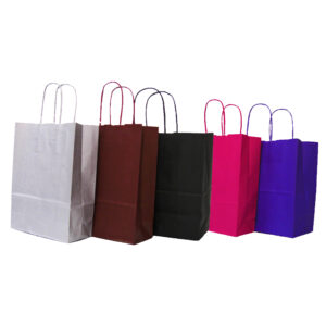 Twisted Paper Handle Carrier Bags Winter Range