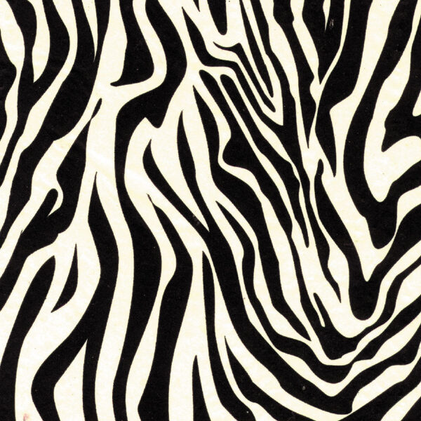 Zebra Wrapture Printed Tissue 1