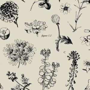Botanical Bonanza wrapture printed tissue
