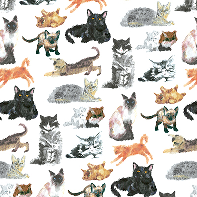 Cats and Kittens wrapture printed tissue